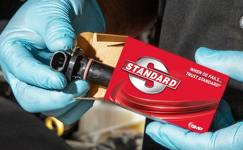 02.1 Key Cat Featured Cam Sensors